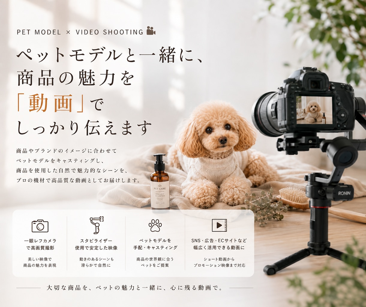ペット用品の魅力が伝わる動画を撮影します 使用シーンやブランドイメージを映像で表現 イメージ1