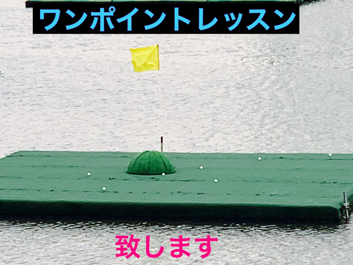 初心者の方に合わせたレッスンをいたします 初心者の方中級者の方向けのレッスンです。 イメージ1