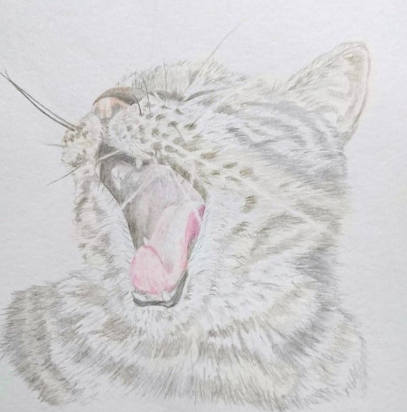 ペット肖像画を描きます ペットが愛しくてたまらない方へ。最低価格で最高の思い出を♩ イメージ3