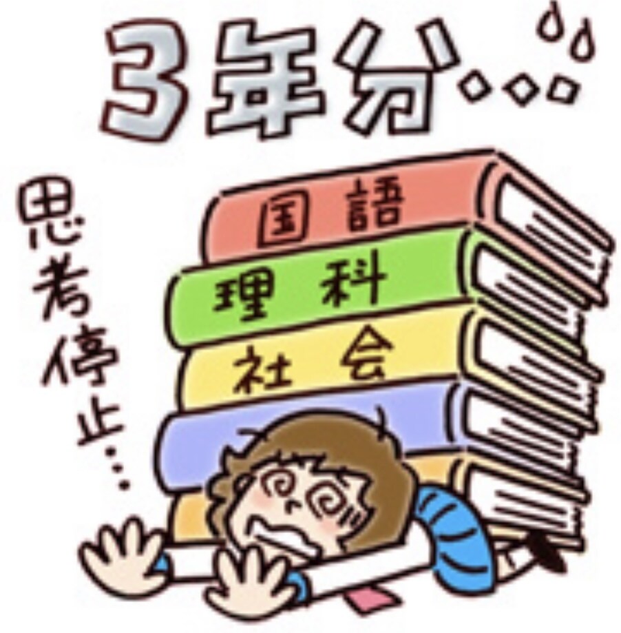 偏差値72の高校の現役生が高校受験の相談にのります 現役の高校生だから伝えられること・わかることがあります！ イメージ1