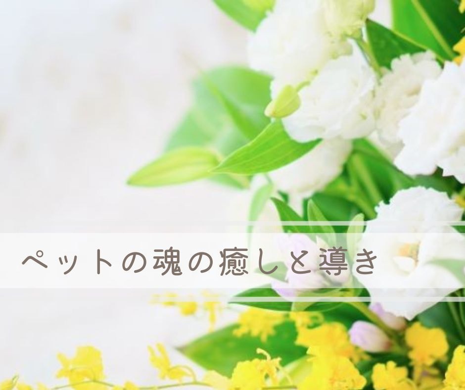 ペットの魂を大天使アリエルが癒し光へ導きます 遠隔ヒーリング★大天使から飼い主様へメッセージもお伝えします イメージ1