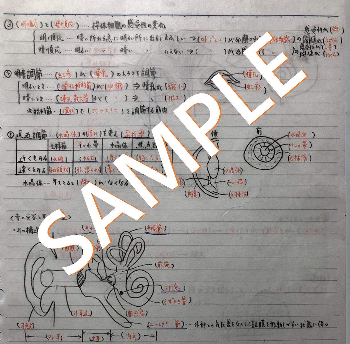 授業中に受験対策ノートを作る方法を教えます 普段の授業が受験対策に早変わり！超効率勉強法で受験に勝つ！ イメージ2