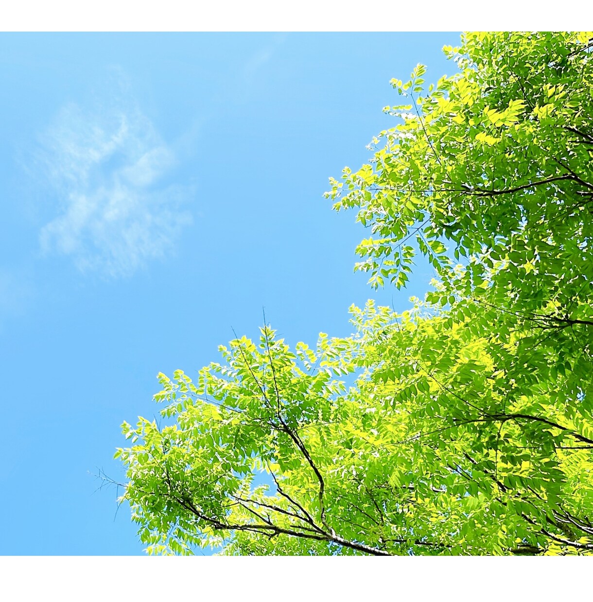 誰かに話したい。会話したい。聞いてほしいに応えます 1分でも！あなたの話し相手になります♪ イメージ6