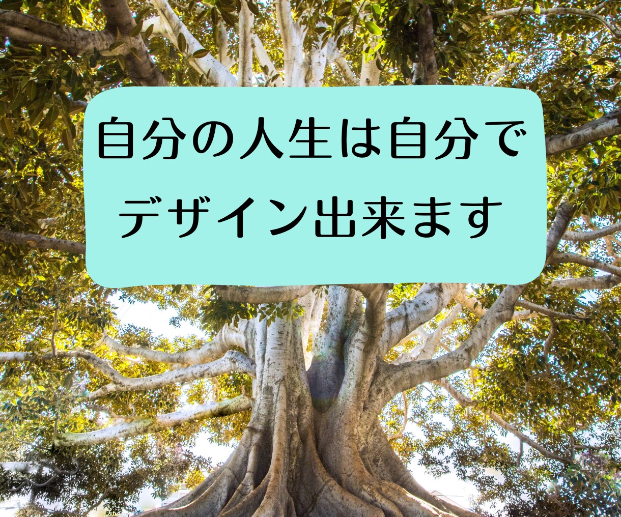 自分の人生の目的、使命を把握して人生最適化します 人生に満足出来てない方、上手く行く方法はシナリオを知る事 イメージ9