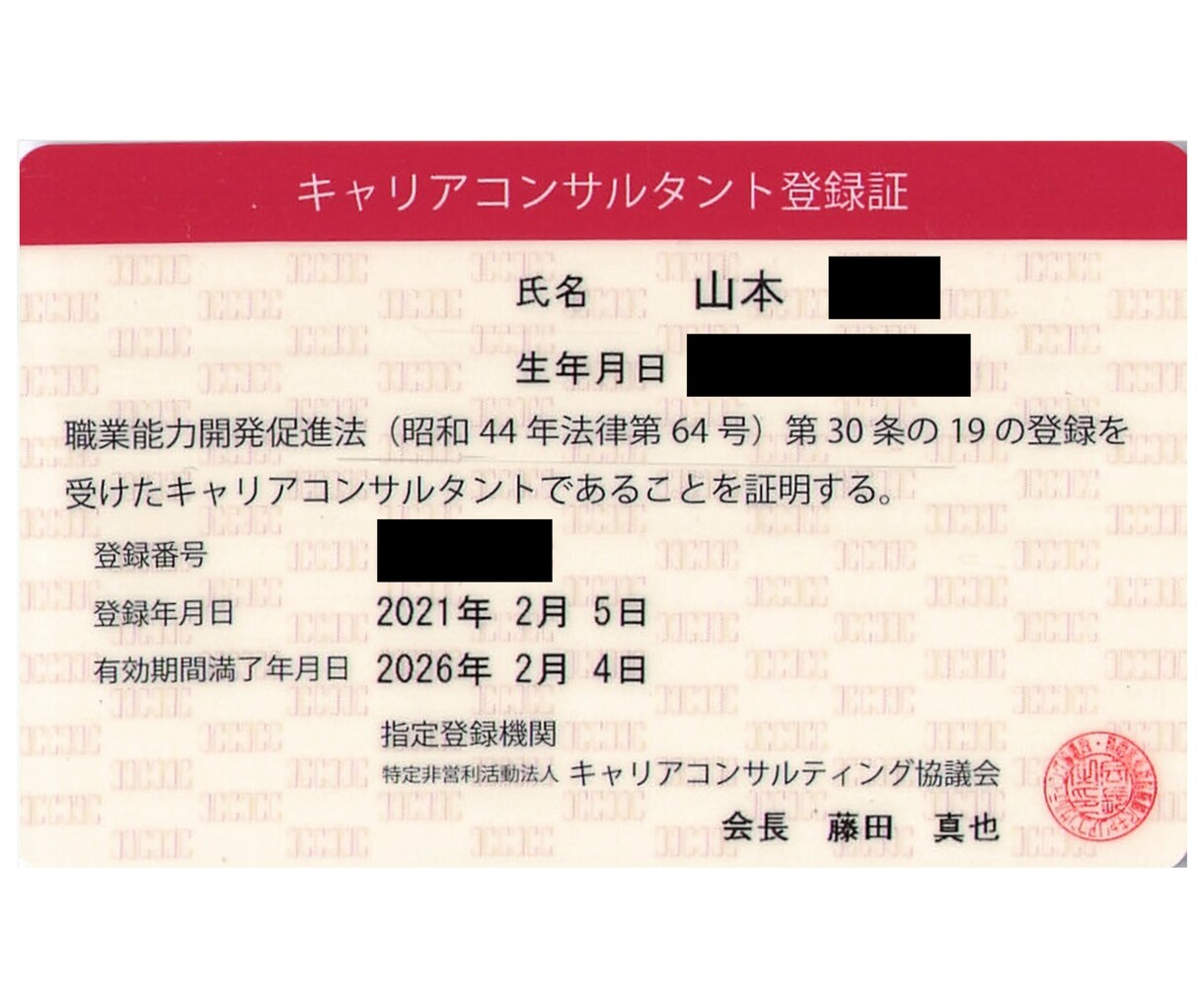1回完結❗️内向型専門のキャリコンが自己分析します やりがい、価値観、強み等自己理解が深まり生き生き働くあなたへ イメージ6