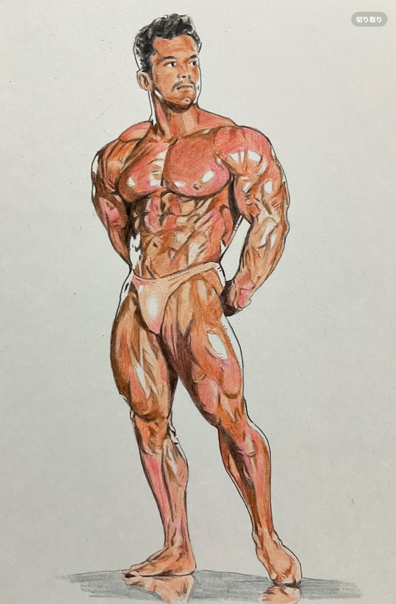 貴方のシェイプアップした身体を描きます A３サイズのケント紙に色鉛筆で写真を元にリアルに描きます。 イメージ4