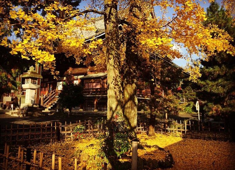京都（近郊）の寺社仏閣へかわりに参拝致します ご自身での参拝希望でも、遠方にお住みの方、お時間のない方へ イメージ2