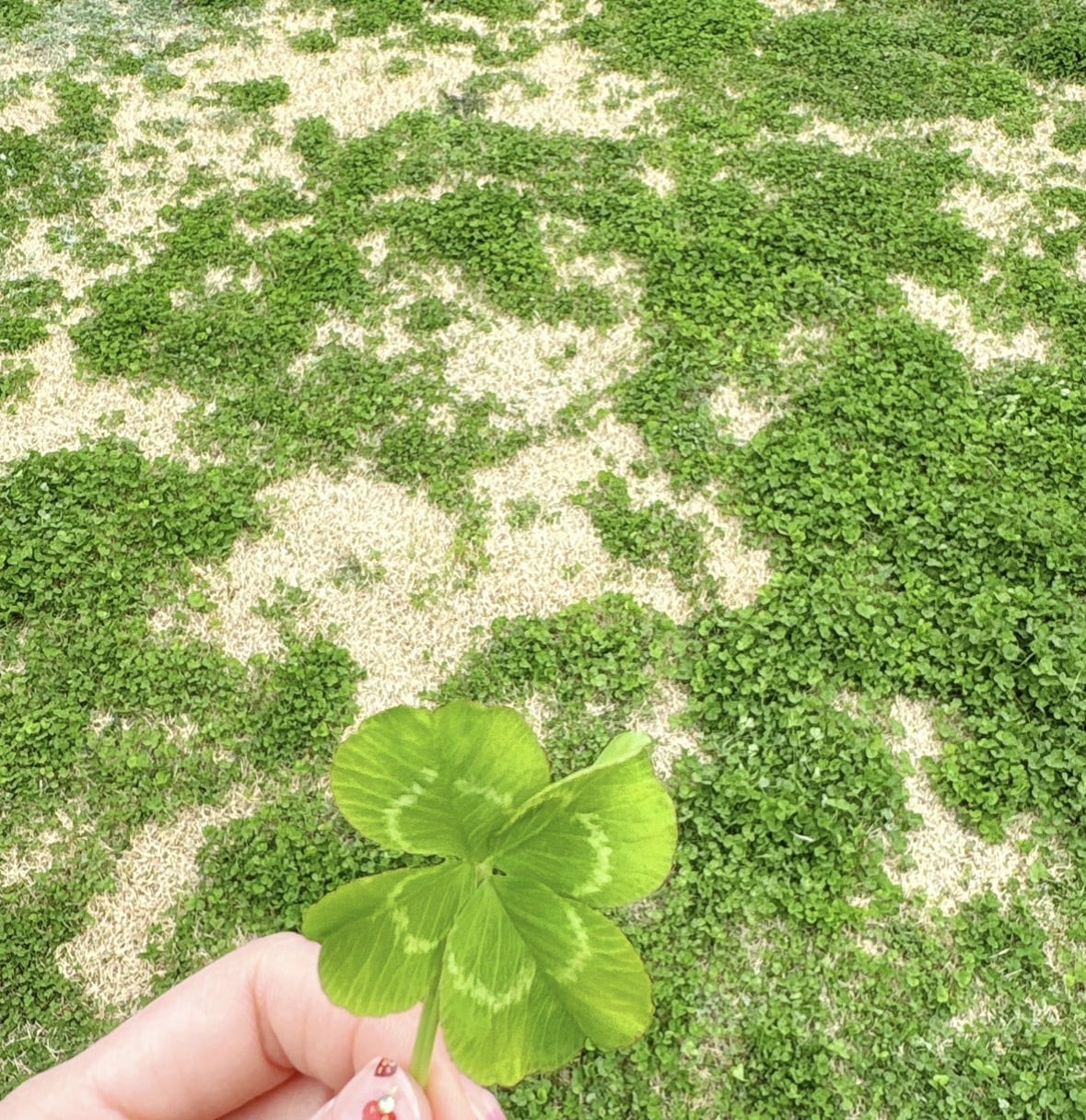 ７日間☘️写真☘️動画☘️絵文字☕️でつながります ゆるーくのんびり☕️ᐝ回数無制限☘️フォトチャット☘️ イメージ3