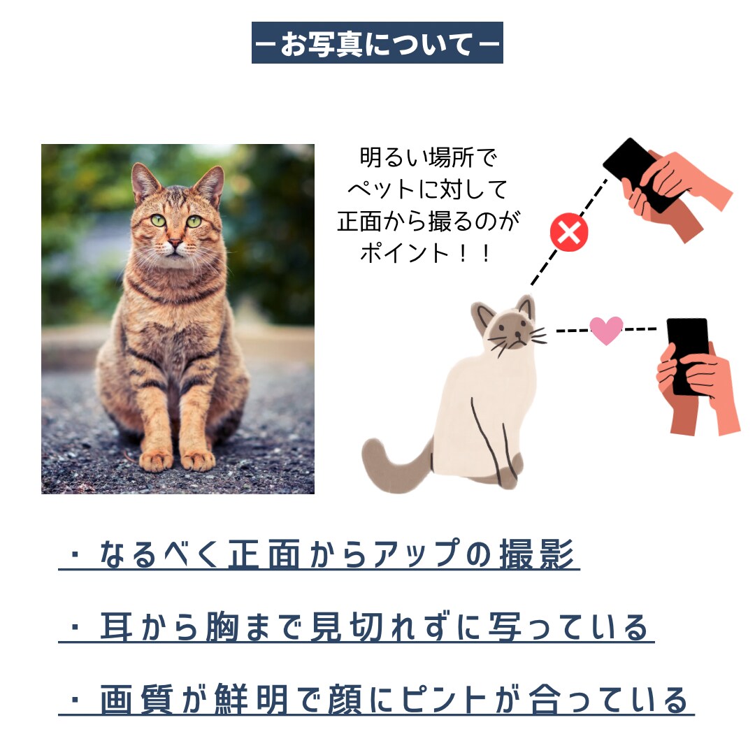 お花のイラストでペットのポスターを作ります すぐに飾れる木製フレーム付き！送料無料！ イメージ5
