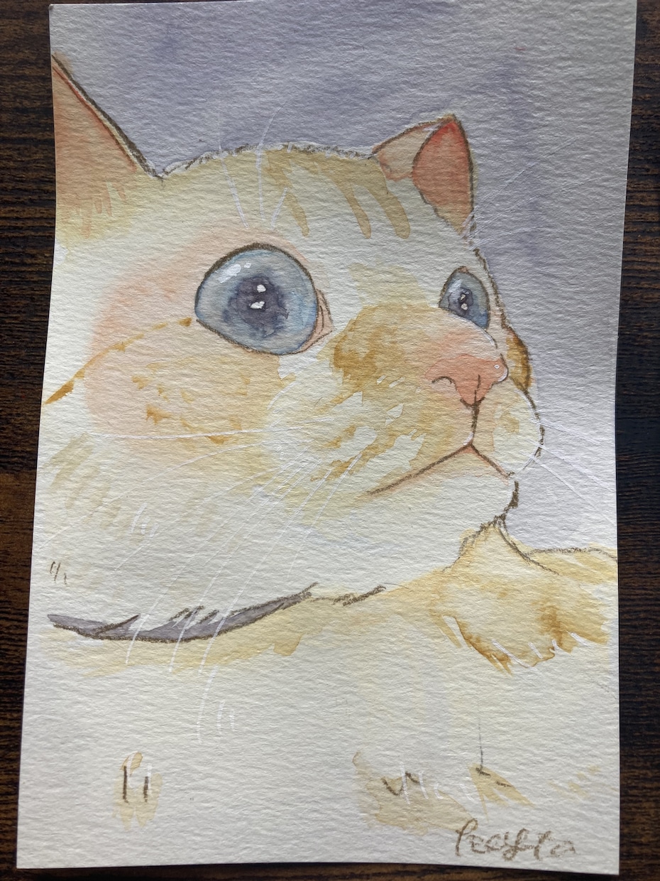 可愛くて心温まる似顔絵を描きます ハガキサイズで描きます。人でもペットでも大歓迎です！ イメージ7