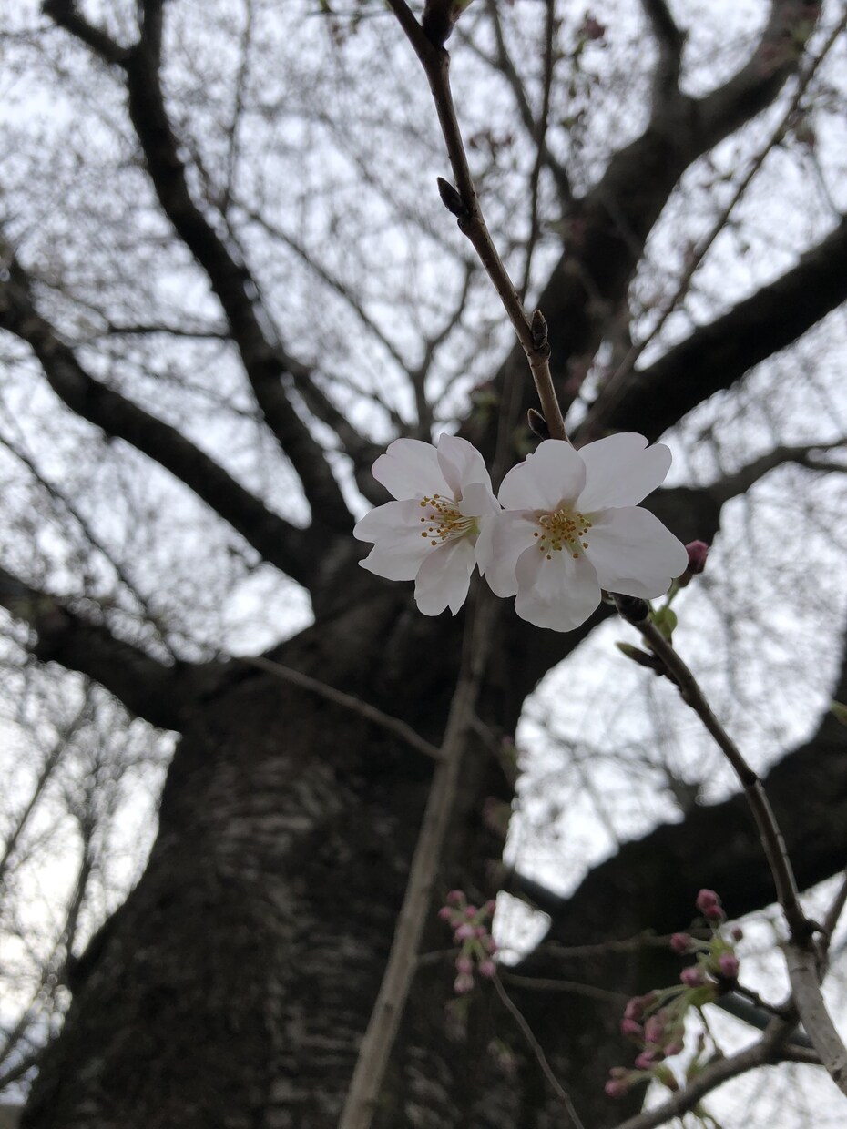 40代の男性に相談聞きたい方お待ちしてます 事業主で多くの経験からアドバイス致します イメージ1