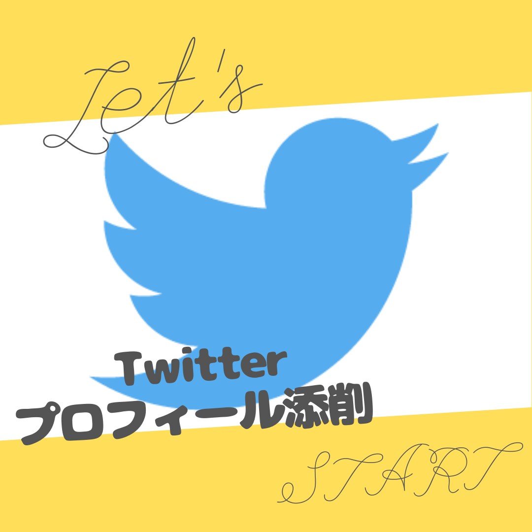Twitterのプロフィールを添削修正します ターゲットにしっかり伝わる！大事なプロフィール作成 イメージ1