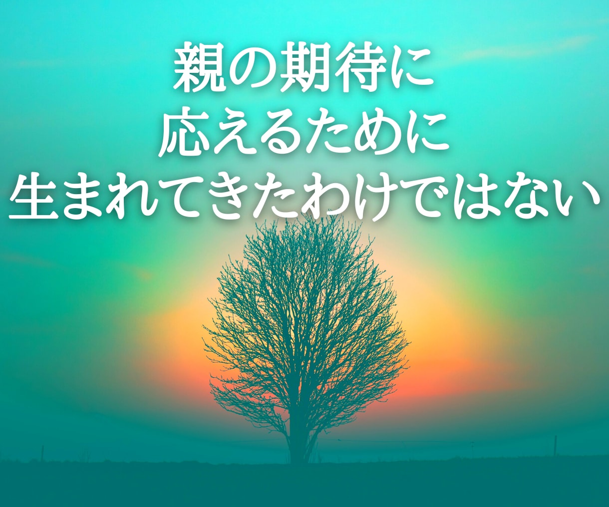 家族という病から抜け出すお手伝いします 親の期待に応えるためでなく自分のために生きる！ イメージ2