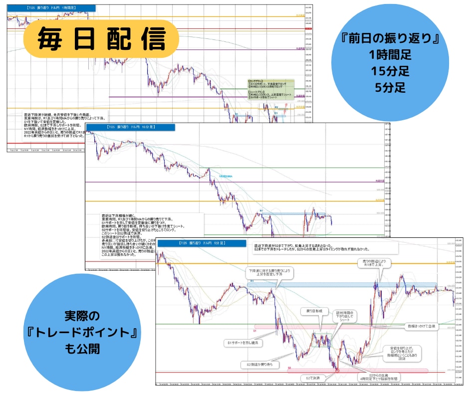 基礎＝奥義　裁量FXトレードのノウハウが学べます 月間１００pips以上獲得を目指すための裁量トレードスキル イメージ10