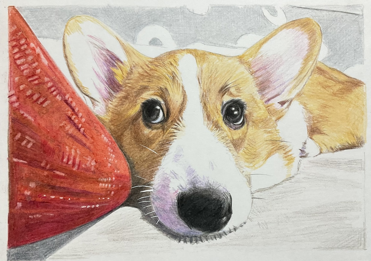 ペット似顔絵を色鉛筆で2Lサイズに描きます 写真を元に色鉛筆でペットの似顔絵をリアルに描きます。 イメージ2