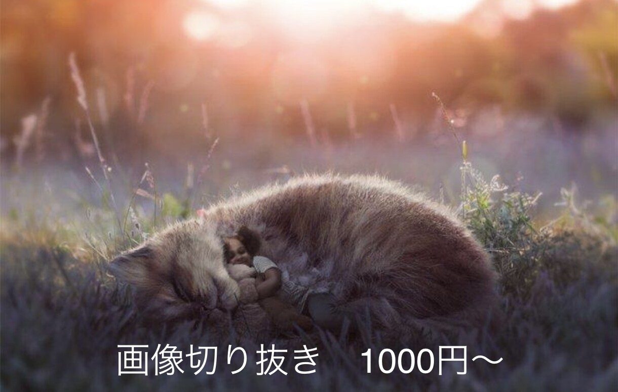 ご希望の画像切り抜き行います 大手企業、webデザイナーの経験で画像をいつも加工します！ イメージ1