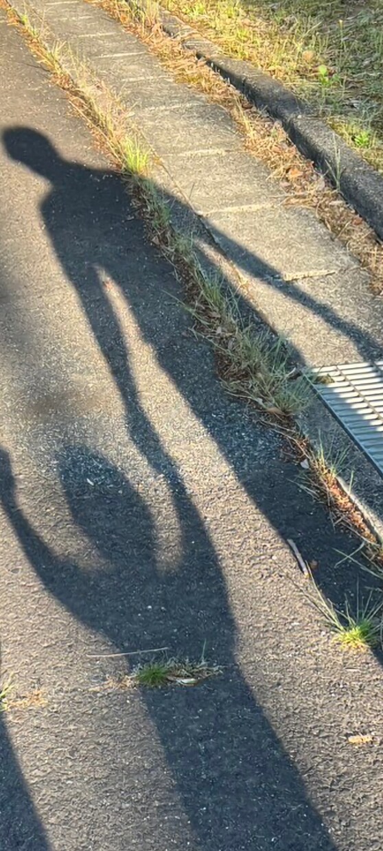 この世の中と、自分との向き合い方、相談乗ります 現在も、生きづらさを感じている30歳、男です。 イメージ1