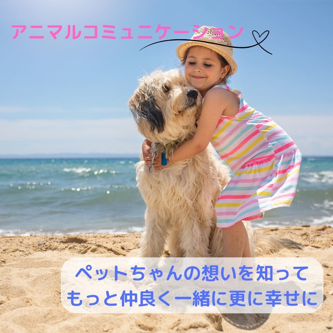 アニマルコミュニケーションします ペットの気持ちを知って、もっと仲良く一緒に幸せになりましょう イメージ1