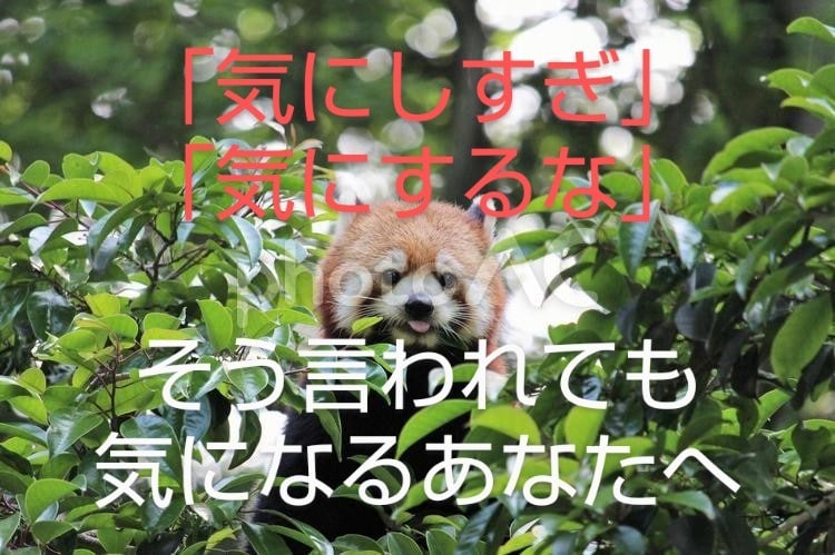 周りの顔色を伺って疲れるあなたの話を聞き肯定します 教師経験のあるカウンセラーと24時間やりとりし放題で笑顔に！ イメージ1