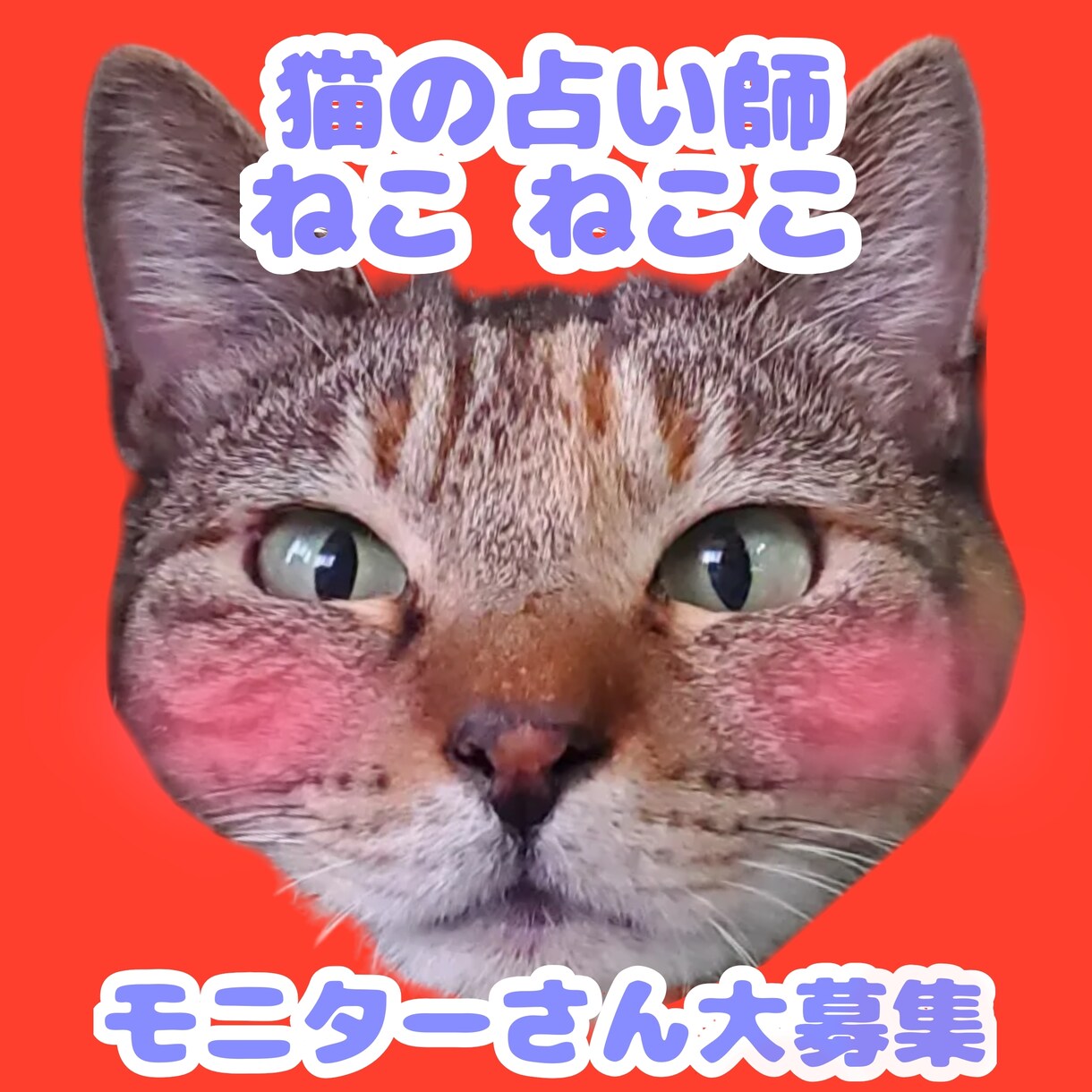 西洋占星術と手相鑑定で総合的に占います モニターさん募集中☆猫の占い師 ホッコリ癒しの占い イメージ1
