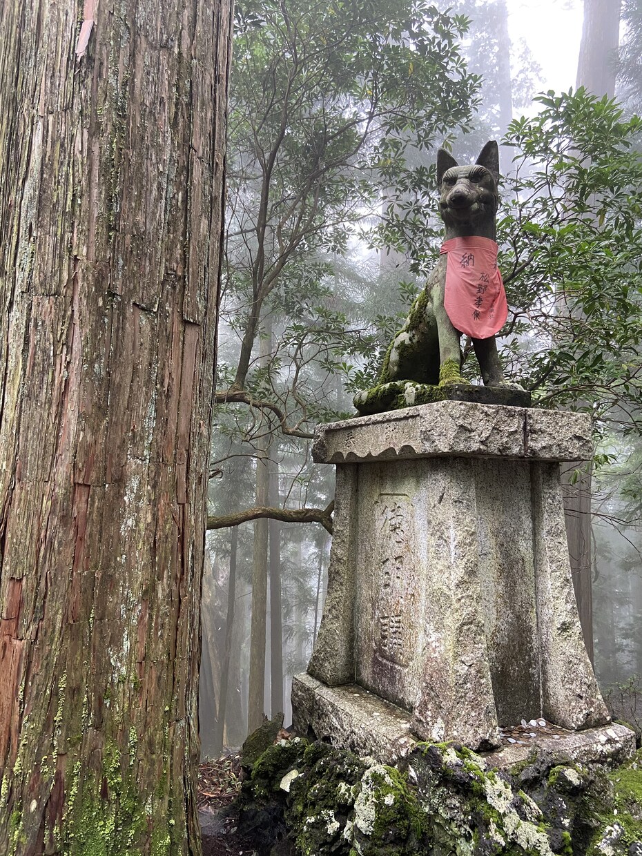 友人、家族、恋愛関係、実体験をもとに相談にのります 誰にもいえない、誰に話したらいいの、そんなときに。 イメージ4
