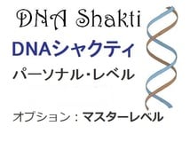 DNAシャクティをアチューンメントします オプションで、マスターレベルも受けられます。 イメージ1