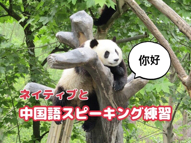 留学なしで中国語のスピーキング練習ができます 気軽にネイティブ中国人と会話してみませんか？ イメージ1