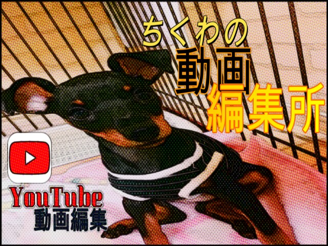 キャンペーン！YouTubeなど、動画編集承ります オシャレな編集、カッコいい編集　任せてください イメージ1