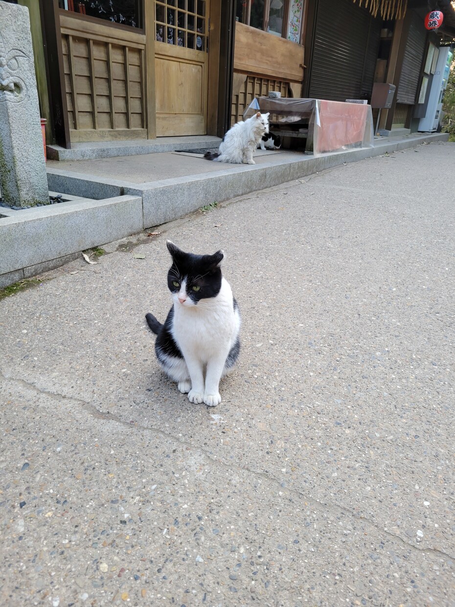 がむしゃらに頑張っている皆さん！お話聞きます 時には息抜きして、何でもフリーにお話してみませんか。 イメージ1