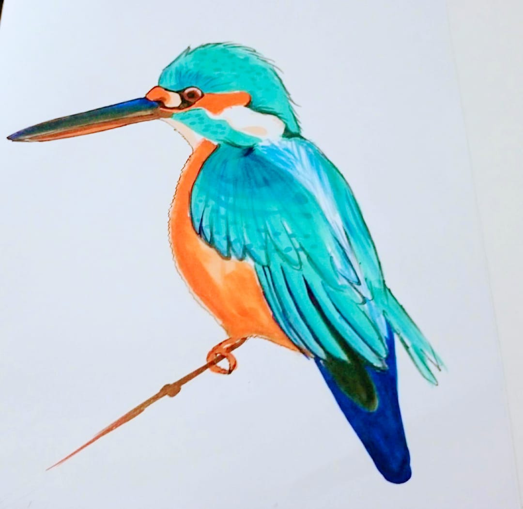 ペットの鳥や犬、猫イラスト描きます 写真を元に鳥のイラスト描きます。野鳥、ペットどちらでもOK イメージ1