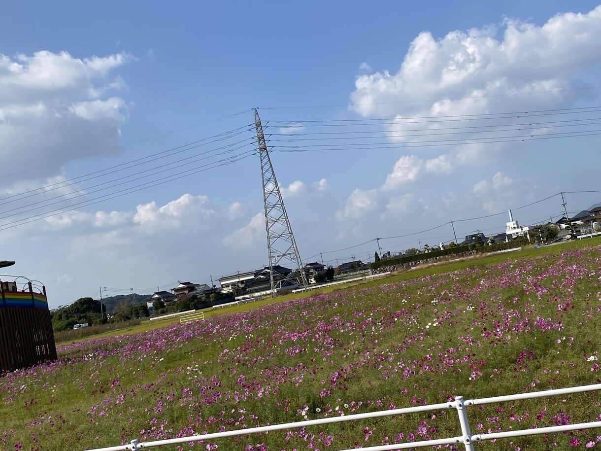 恋愛全般、人生相談、性格診断、承ってます 1人で悩まず一緒に考えましょう イメージ1