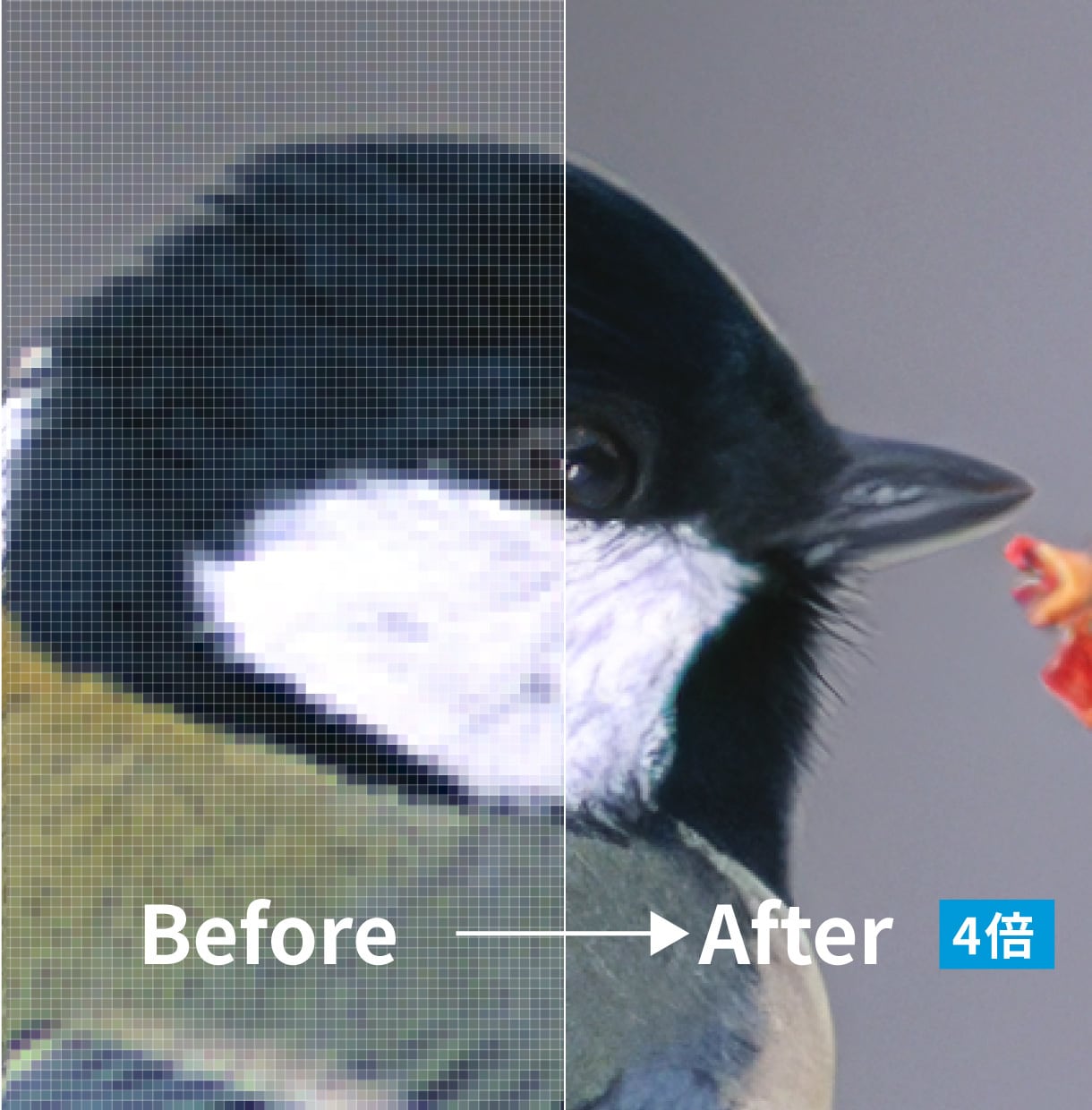 低画質・小さい写真を自然にくっきり高画質化します AI×プロレタッチで写真を高解像度化 イメージ4