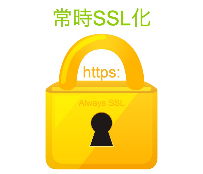 常時SSL化を代行します ワードプレスの対応も実績豊富なプロにお任せ！ イメージ1