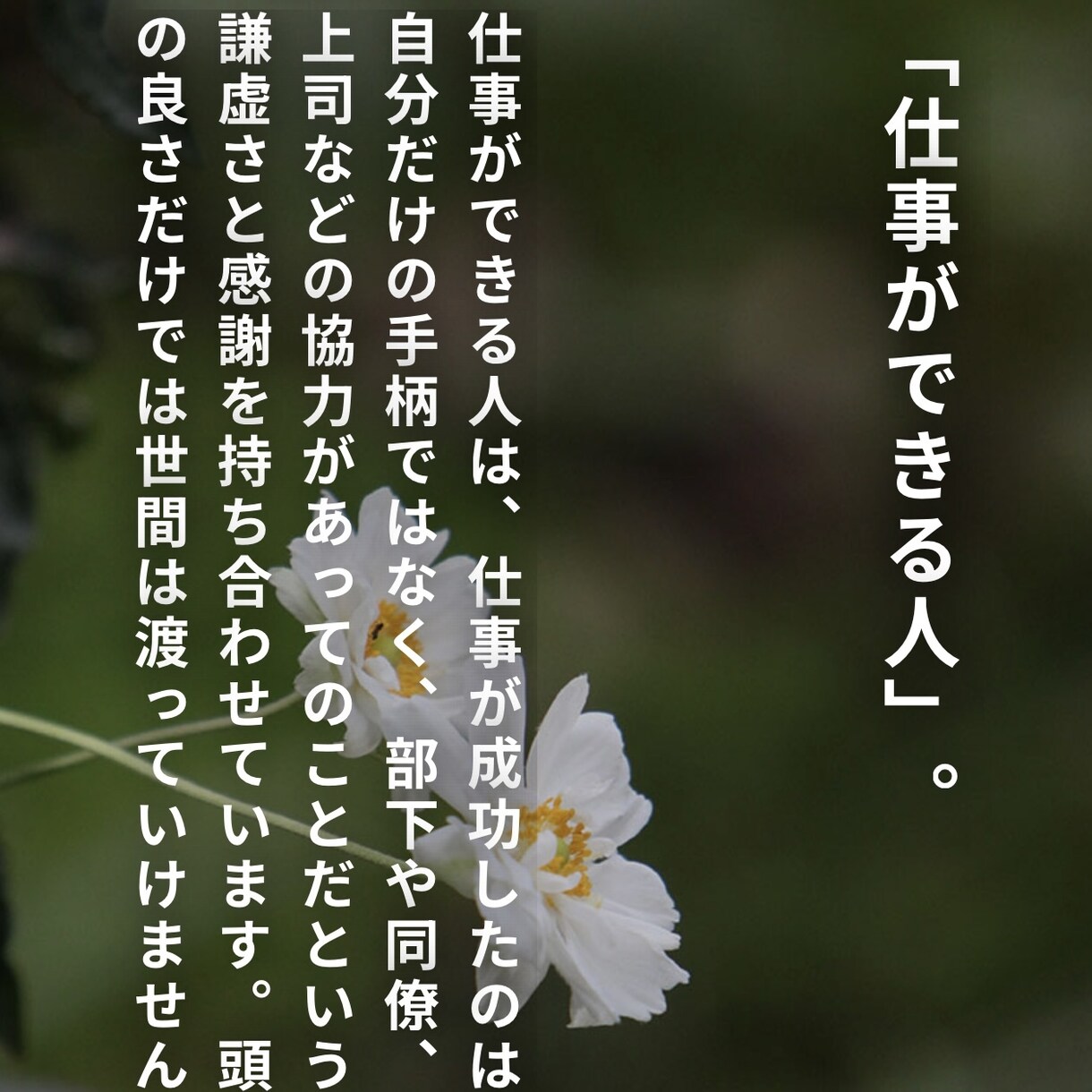 離婚の不安を整理！足踏み状態から行動可能になります もちろん、ただただ不安を聞いて欲しい方も大歓迎です^ ^。 イメージ2