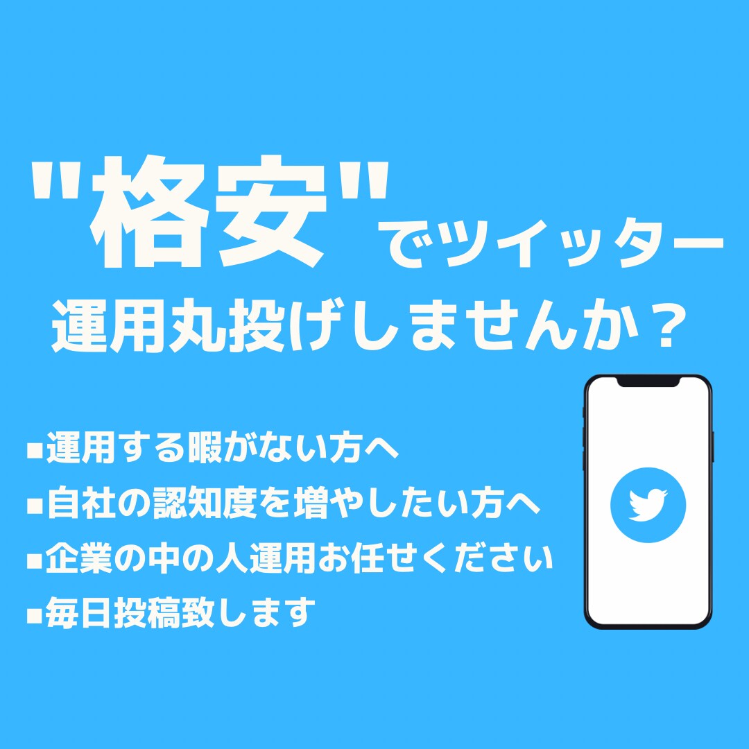 ツイッターを現役プロが運用いたします 現役プロが代行！更新する暇がない方へ！ イメージ1