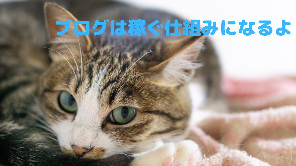 ブロガー必見！ブログで稼ぐ方法公開します ブログ初心者におススメ50代主婦がスキマ時間で稼いだ方法 イメージ2