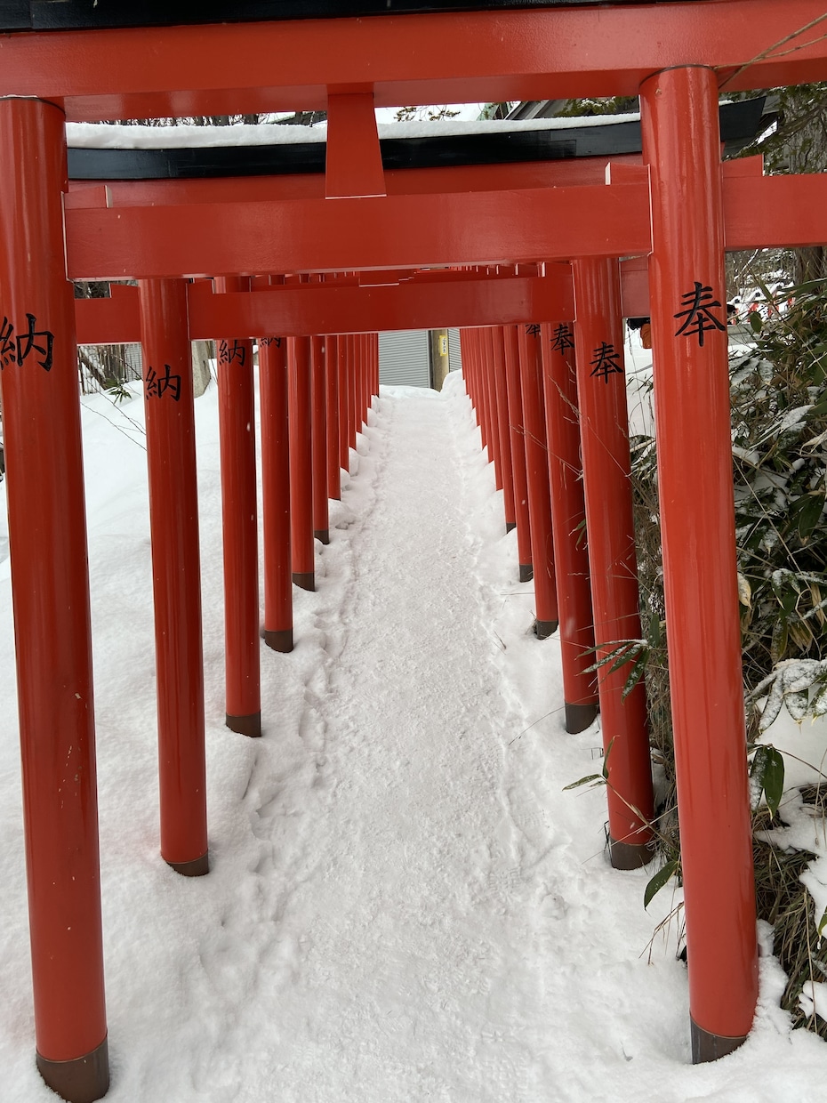 不倫で悩むあなたに代わって占います 不倫で悩んでいませんか？寄り添い近未来を見てみましょう。 イメージ2