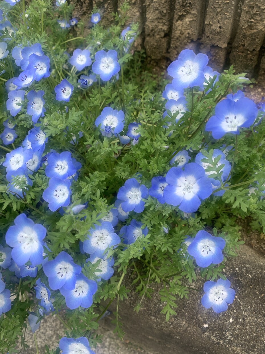 誰にも言えない、やり場のない気持ち受け止めます 沈んだ気持ち、疲れ切った心の回復をお手伝いします！ イメージ2