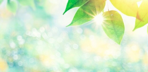 霊感霊視であなたのお悩みを占います 《3つの質問》人間関係、恋愛、仕事の悩みに答えます。 イメージ8