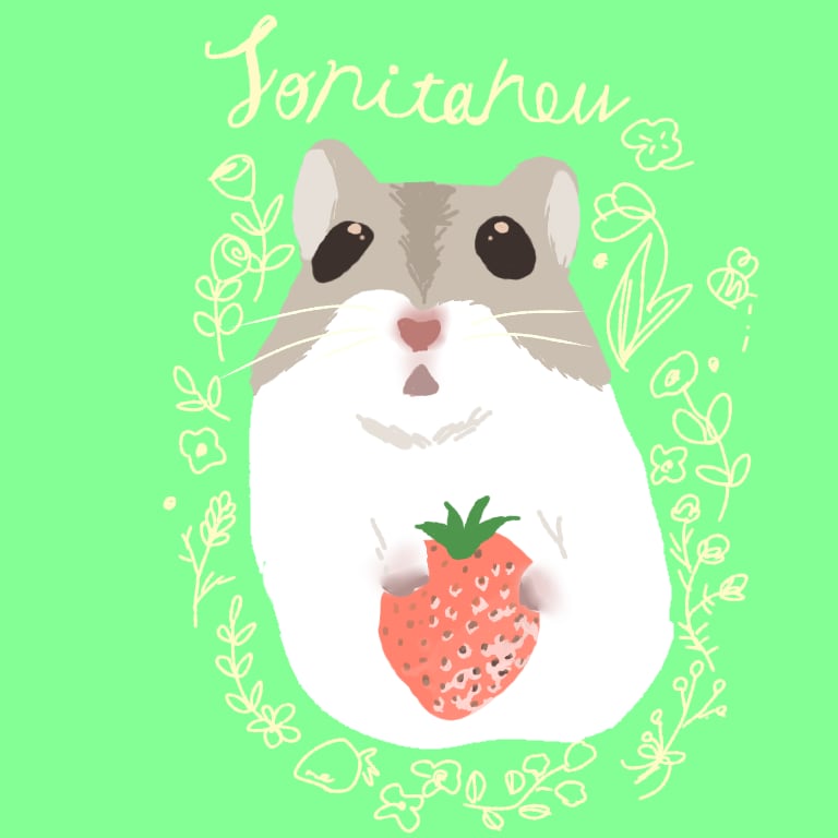 ペットのイラスト描きます シンプルから派手なデザインまで出来る限り答えます。 イメージ4