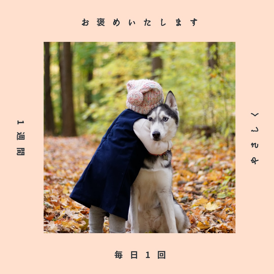 1週間、毎日1回あなたを褒めます こころを込めて、あなたに寄り添い、優しく褒めます。 イメージ1