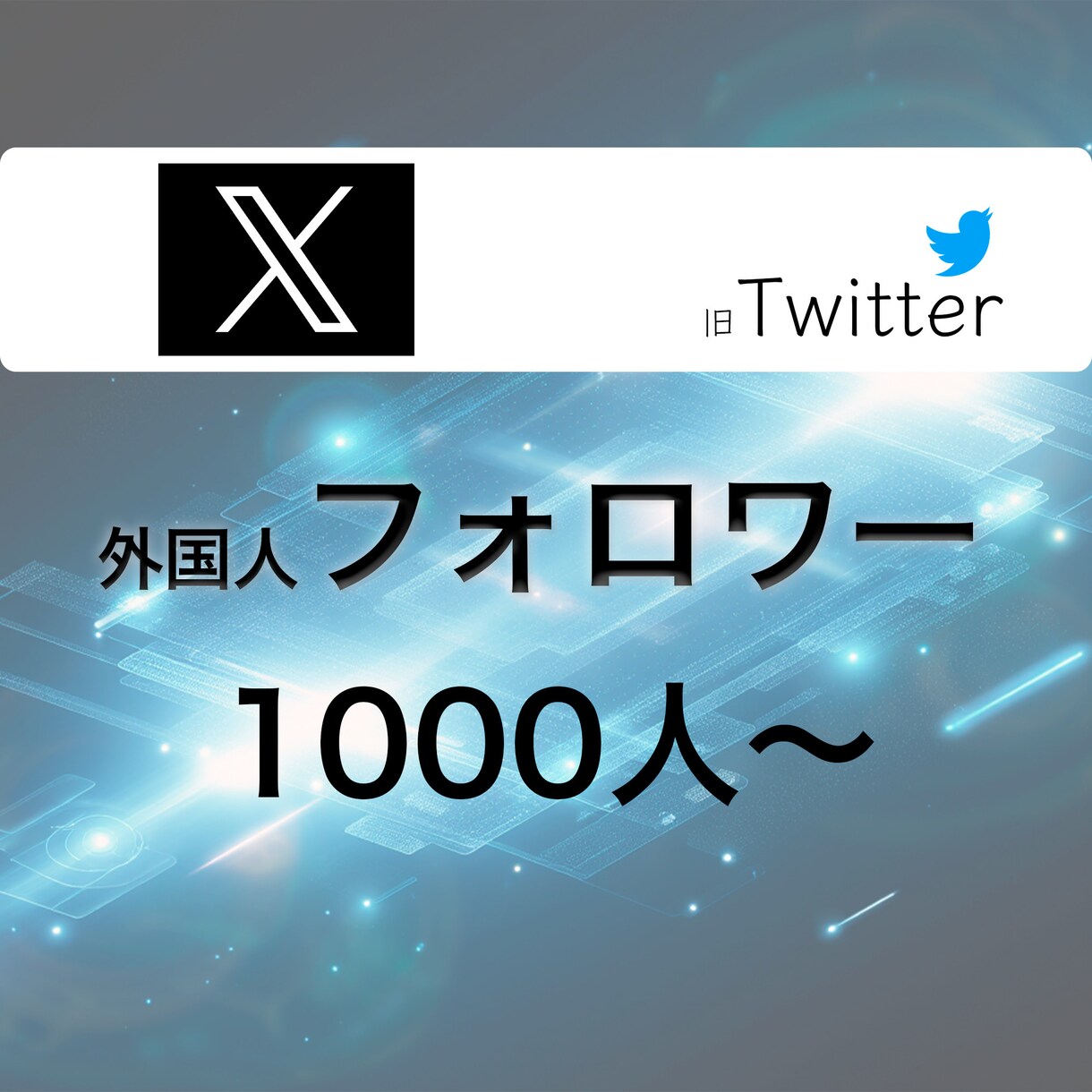 X・旧Twitterのフォロワーを増やします X・旧Twitter1000人〜増加 イメージ1