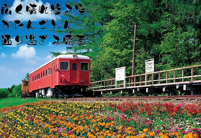 好きな写真・画像にポエムや詩をいれる加工をします イメージ1