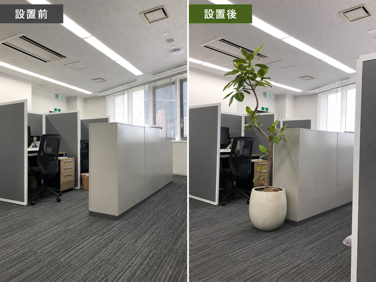 図面・パースから植物を選定します 植物・鉢・配置・管理条件まで提案します イメージ7