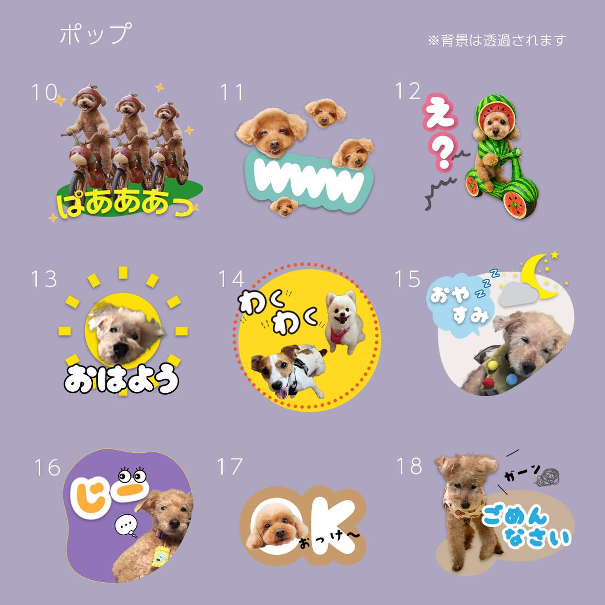 限定モニター価格☆ペット写真スタンプ 作成します 先着残り2名様限定！修正無制限＆満足度◎面倒な丸投げOK！ イメージ7