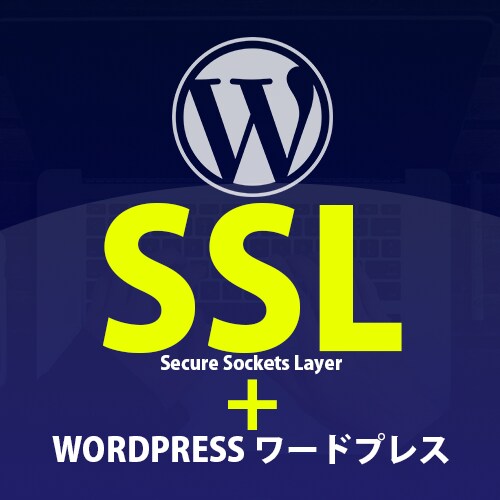 wORDPRESSサイトのSSL 設定をします サイトのSSL ,ドメインを SSL に設定します。 イメージ1