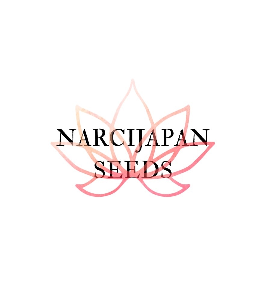 あなたのLOGOを共に創らせて頂きます 感性を無限に自由にフル活用して創らせて頂きます イメージ3