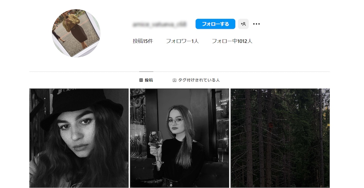 インスタグラムフォロワー1,000人以上増やします 【最高品質】男女比ほぼ半々 1,000人から制限無しで受付中 イメージ3