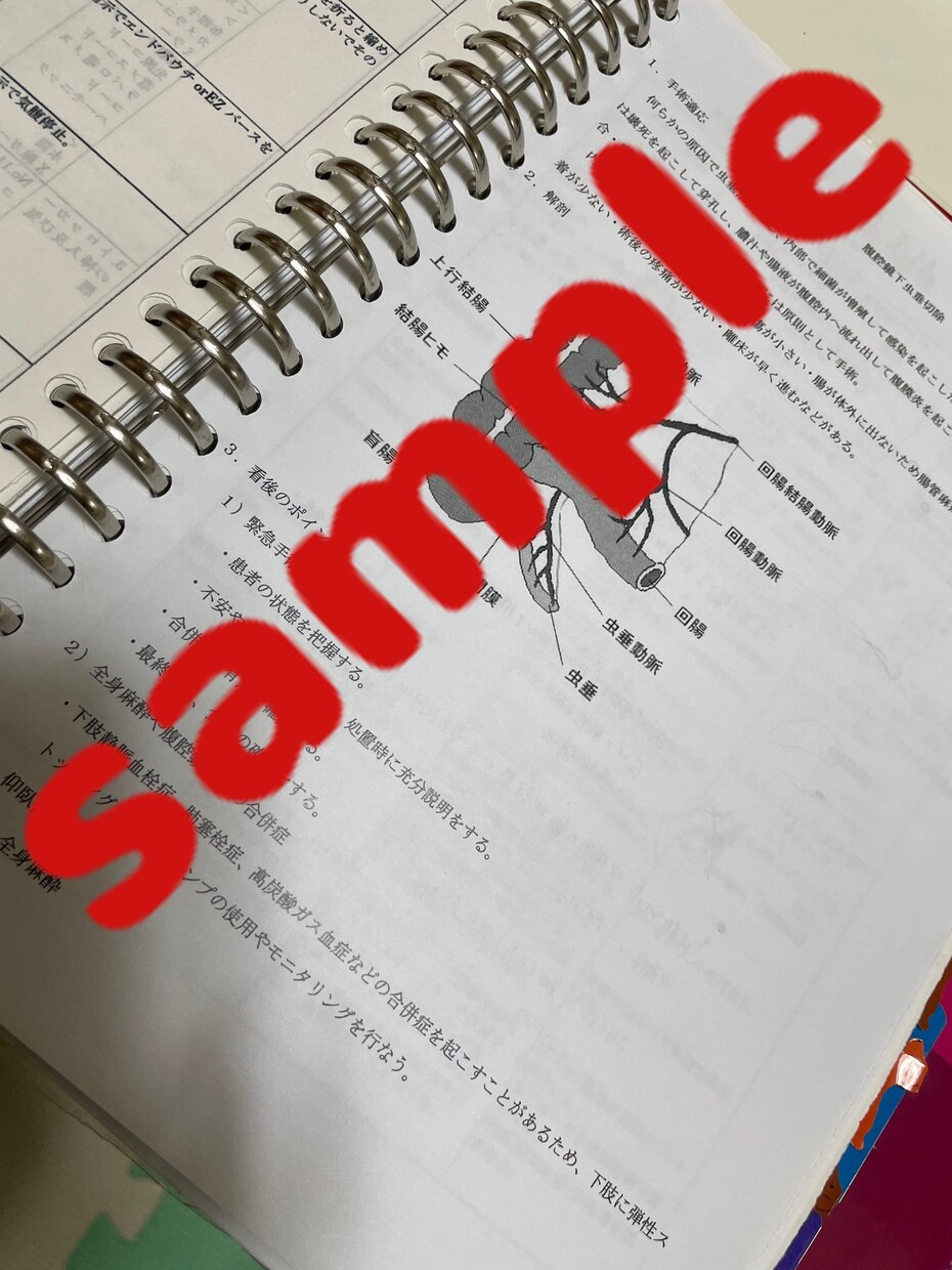 消化器外科手術手手順書お渡します あなたの自己学習をサポートします！これで知識も理解も深まる！ イメージ4