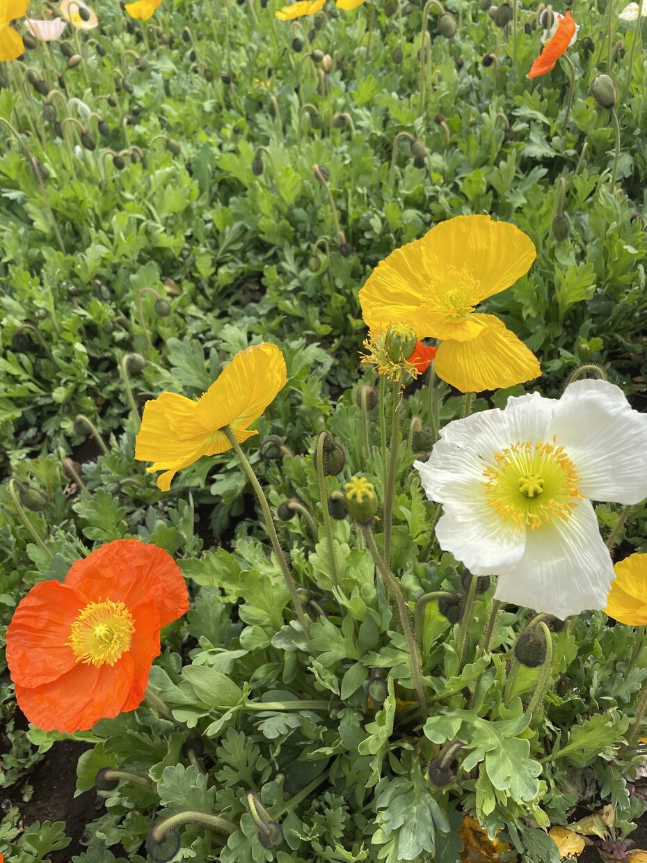 ちょっときいて！や愚痴もオッケー♪なんでもききます モヤモヤをスッキリ！なんでもぶつけてください！ イメージ1